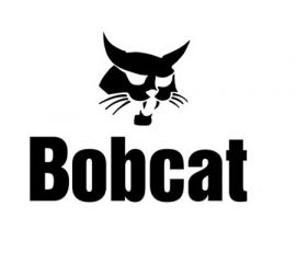 Bobcat